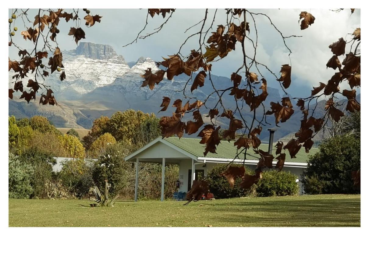 Swallowfield Cottage Champagne Valley Esterno foto